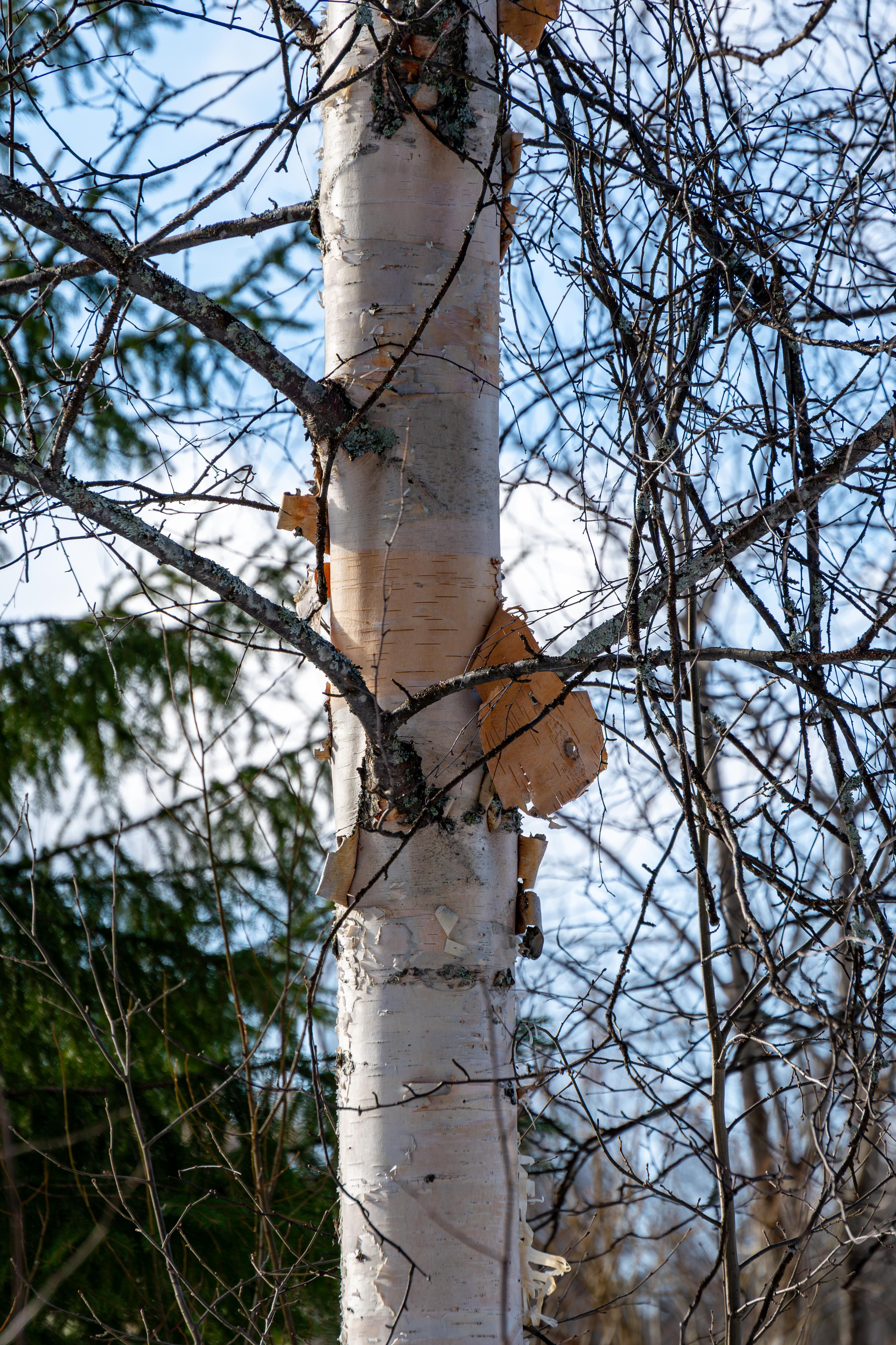 Photo 311